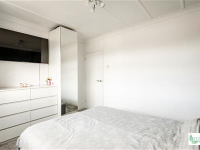 Picture 13